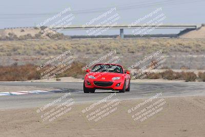 media/Nov-02-2025-Lotus Club of SoCal (Sun) [[dc384ab7f7]]/Novice Group/Cotton Corners/